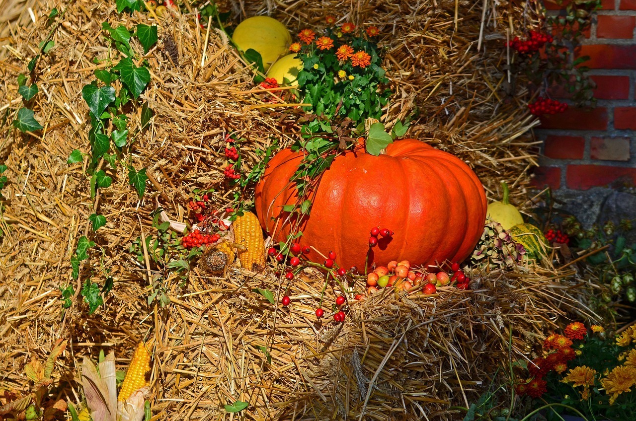 Mehr über den Artikel erfahren Jahreskreisfest Mabon – Herbst-Tag-und-Nachtgleiche