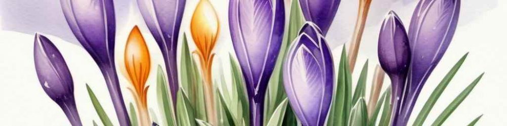 Imbolc-Klein